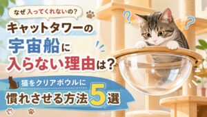 キャットタワーの宇宙船に入らない