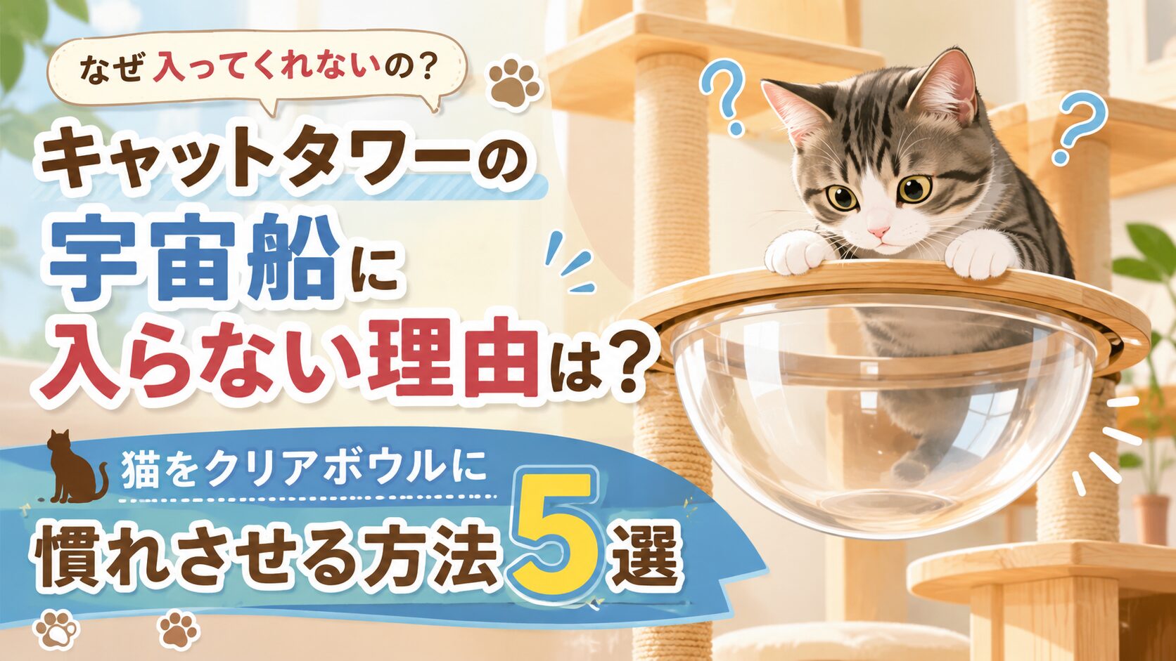 キャットタワーの宇宙船に入らない